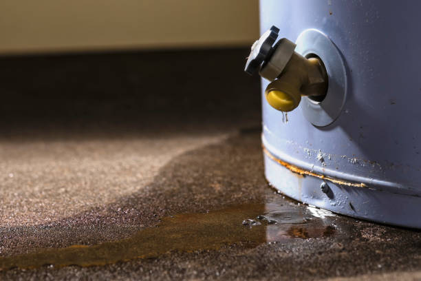 Best Water damage contractors near me  in Centerfield, UT