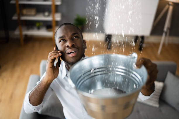 Best Sewage cleanup and water damage restoration  in Centerfield, UT
