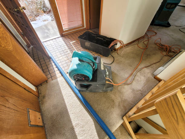 Best 24/7 water damage repair  in Centerfield, UT