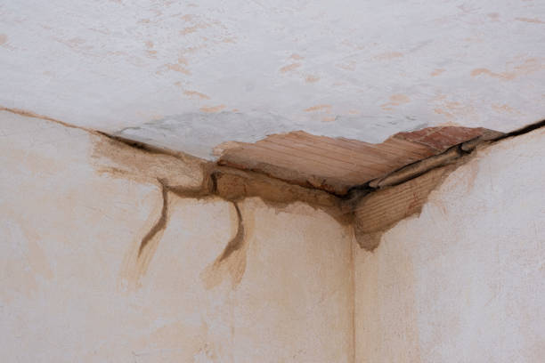 Best Ceiling water damage repair  in Centerfield, UT
