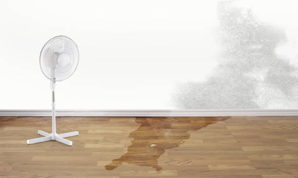 Best Water damage contractors near me  in Centerfield, UT