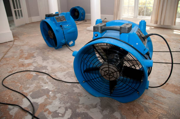 Best Residential water damage restoration  in Centerfield, UT
