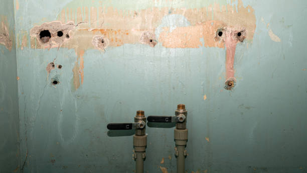 Best Water damage cleanup near me  in Centerfield, UT