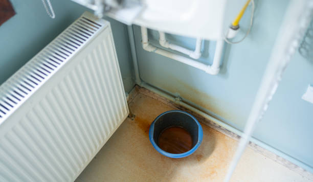 Best Basement water damage restoration  in Centerfield, UT