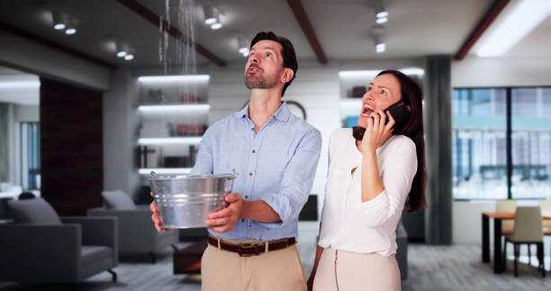 Best Fire Damage Restoration  in Centerfield, UT