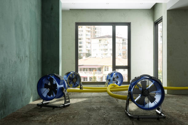 Best Professional water damage repair  in Centerfield, UT