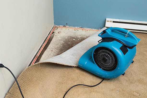 Carpet water damage restoration in UT